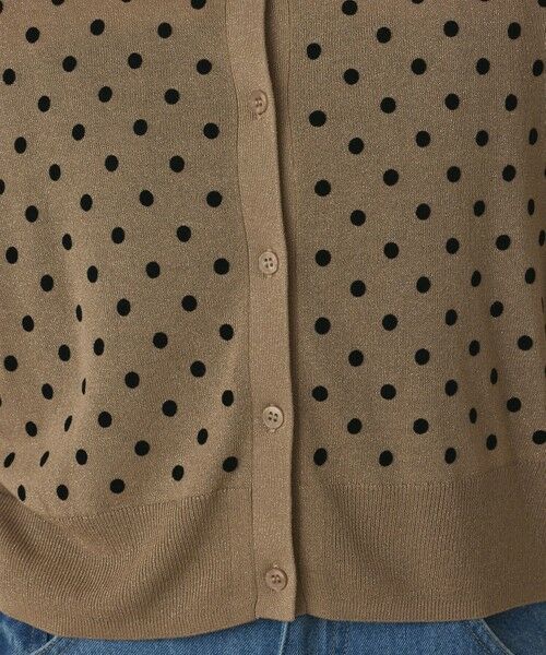 GRACE CONTINENTAL / グレースコンチネンタル カーディガン・ボレロ | ドットフロッキーニットカーディガン | 詳細16