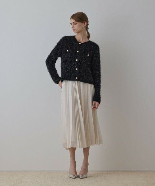 GRACE CONTINENTAL / グレースコンチネンタル ロング・マキシ丈スカート | メッシュプリーツスカート | 詳細1