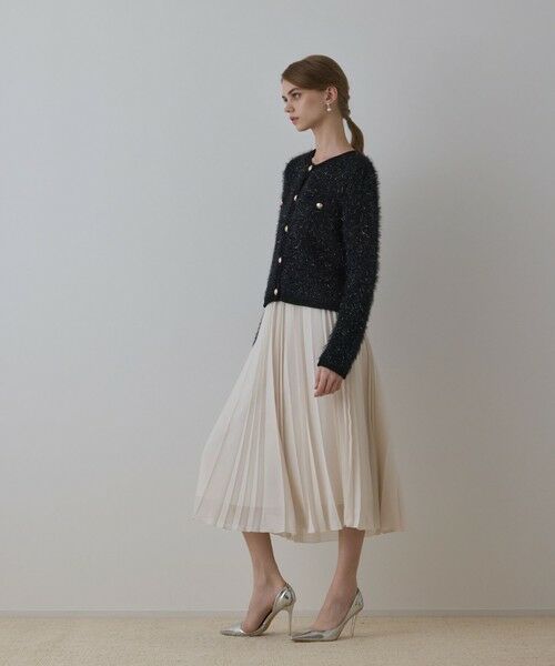 GRACE CONTINENTAL / グレースコンチネンタル ロング・マキシ丈スカート | メッシュプリーツスカート | 詳細2