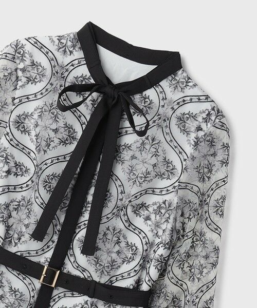 GRACE CONTINENTAL / グレースコンチネンタル ロング・マキシ丈ワンピース | オーナメント刺繍フレアワンピース | 詳細14