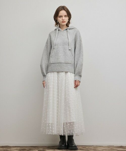 GRACE CONTINENTAL / グレースコンチネンタル ロング・マキシ丈スカート | フロッキードットプリーツスカート | 詳細1