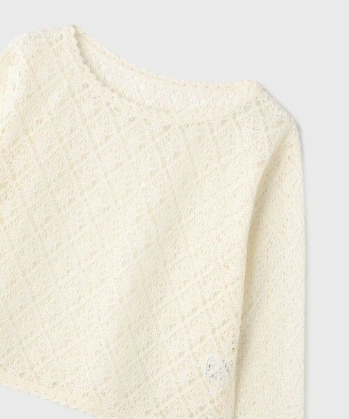GRACE CONTINENTAL / グレースコンチネンタル その他トップス | レースフレアスリーブトップ | 詳細14