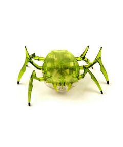 green label relaxing / グリーンレーベル リラクシング ベビー・キッズグッズ | HEXBUG(ヘックスバグ)コガネムシ