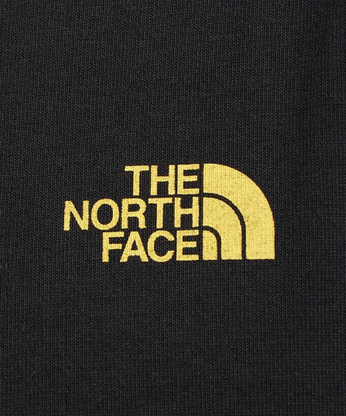 green label relaxing / グリーンレーベル リラクシング Tシャツ | [ザ ノース フェイス] SC THE NORTH FACE SQUARE ロゴ S/S Tシャツ | 詳細9