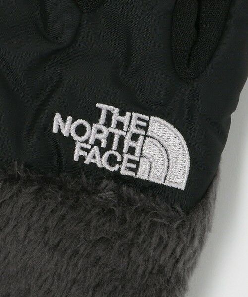 green label relaxing / グリーンレーベル リラクシング 手袋 | [ ザ ノース フェイス ] THE NORTH FACE デナリ イーチップ グローブ | 詳細5