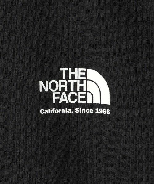 green label relaxing / グリーンレーベル リラクシング Tシャツ | ＜THE NORTH FACE＞ヒストリカルロゴティー Tシャツ | 詳細12