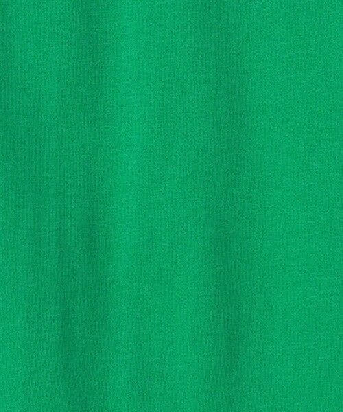 green label relaxing / グリーンレーベル リラクシング カットソー | ＜THE NORTH FACE＞ ヒストリカル ロゴ Tシャツ 140cm-150cm | 詳細11