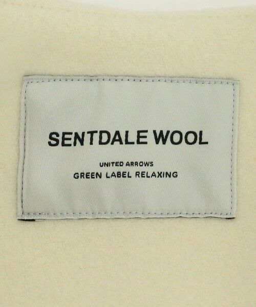 green label relaxing / グリーンレーベル リラクシング その他アウター | SENTDALE WOOL セントデールウール ノーカラー ミドル コート | 詳細16