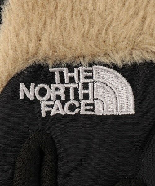 green label relaxing / グリーンレーベル リラクシング 手袋 | 【WEB限定】＜THE NORTH FACE＞デナリイーチップ グローブ / 手袋 | 詳細8