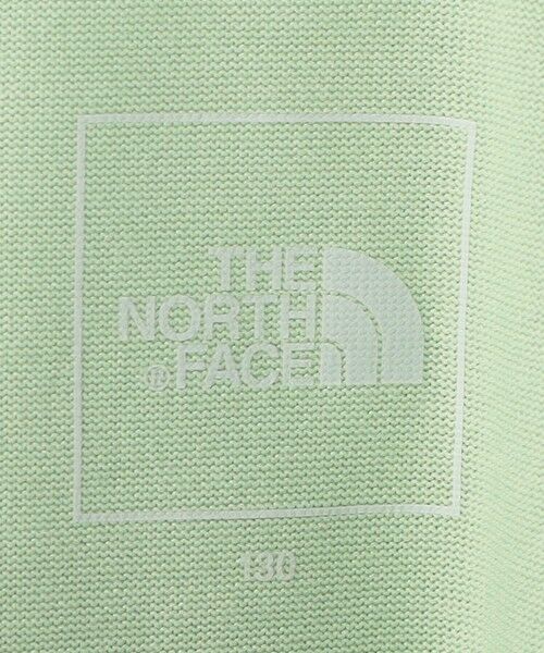 green label relaxing / グリーンレーベル リラクシング カットソー | ＜THE NORTH FACE＞TJ ショートスリーブゲットモテッドグラフィック ティーシャツ 110cm-130cm | 詳細13