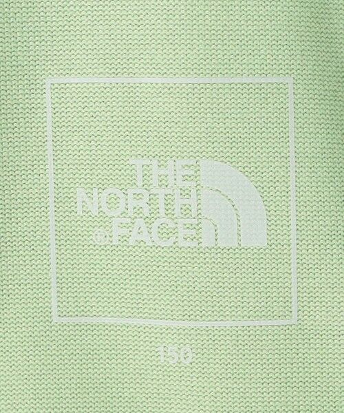 green label relaxing / グリーンレーベル リラクシング カットソー | ＜THE NORTH FACE＞TJ ショートスリーブゲットモテッドグラフィック ティーシャツ 140cm-150cm | 詳細13
