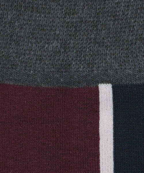 green label relaxing / グリーンレーベル リラクシング ソックス | ＜CHICSTOCKS＞センターライン ソックス | 詳細7