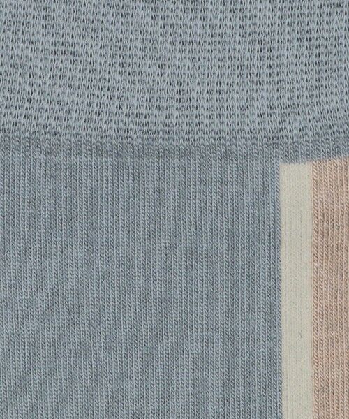 green label relaxing / グリーンレーベル リラクシング ソックス | ＜CHICSTOCKS＞センターライン ソックス | 詳細8