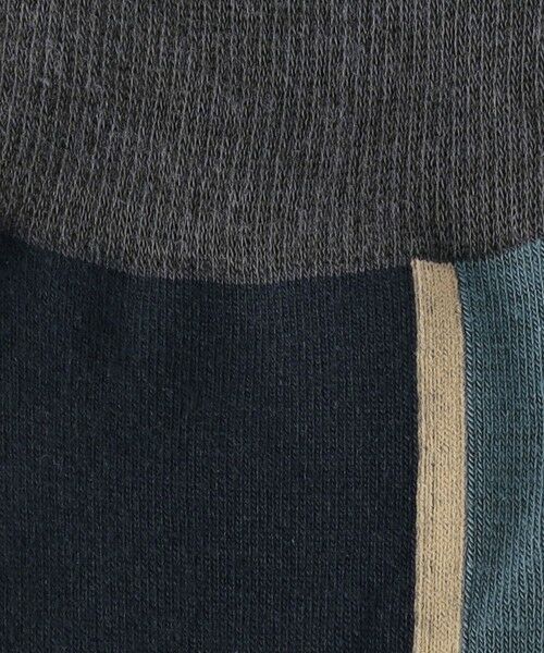 green label relaxing / グリーンレーベル リラクシング ソックス | ＜CHICSTOCKS＞センターライン ソックス | 詳細9