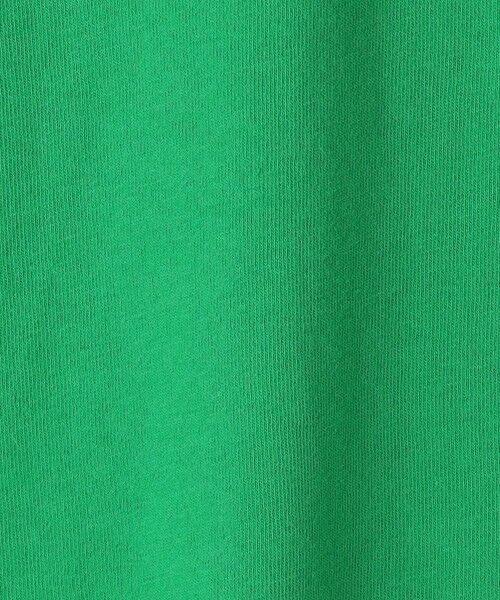 green label relaxing / グリーンレーベル リラクシング カットソー | ＜Champion＞キッズ ショートスリーブ Tシャツ 110cm-130cm | 詳細19