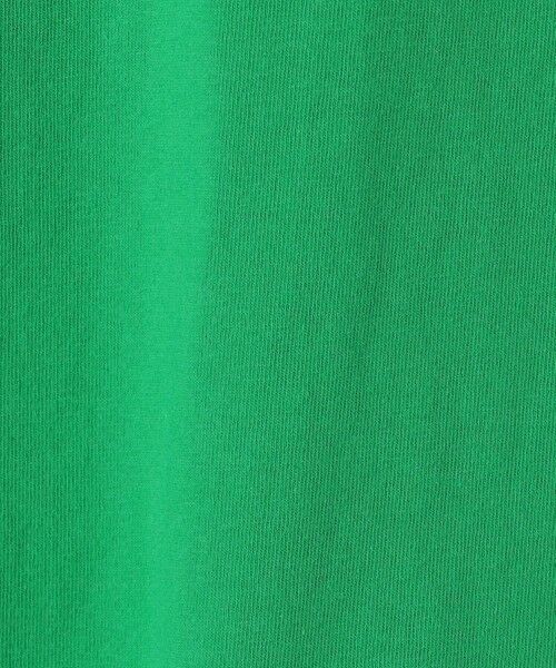 green label relaxing / グリーンレーベル リラクシング カットソー | ＜Champion＞キッズ ショートスリーブ Tシャツ 140cm-160cm | 詳細16