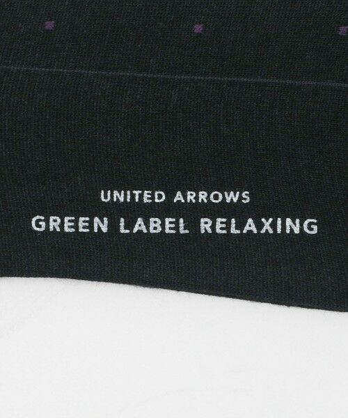 green label relaxing / グリーンレーベル リラクシング ソックス | リブ ドット ソックス -吸水速乾・抗菌- | 詳細2