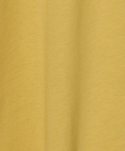 green label relaxing / グリーンレーベル リラクシング Tシャツ | ＜FRED PERRY＞リンガー Tシャツ | 詳細21