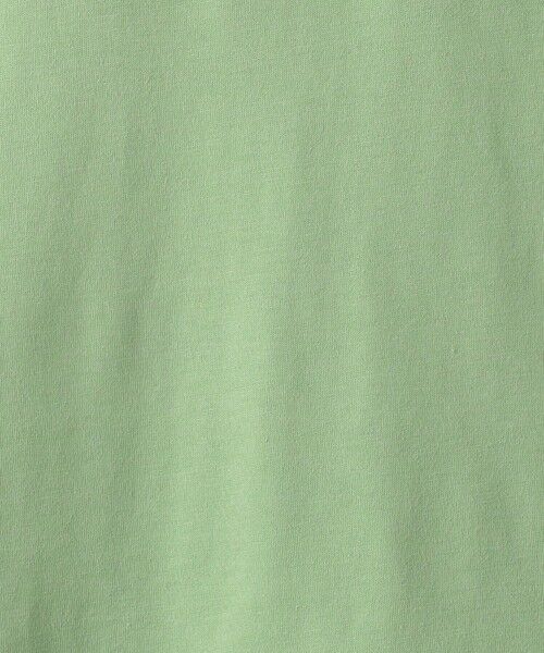 green label relaxing / グリーンレーベル リラクシング カットソー | 【別注】＜アニア＞恐竜Tシャツ / キッズ  100cm-130cm | 詳細12