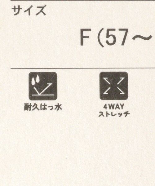 green label relaxing / グリーンレーベル リラクシング ハンカチ | ＜NOMADIX＞ TINY TOWEL ハンドタオル | 詳細20