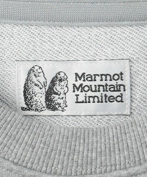 green label relaxing / グリーンレーベル リラクシング スウェット | 【別注】＜Marmot＞GLR Marmots ロゴ スウェット | 詳細9