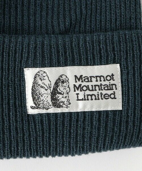 green label relaxing / グリーンレーベル リラクシング ニットキャップ | 【別注】＜Marmot＞GLR MMW ニットワッチ キャップ 帽子 | 詳細9