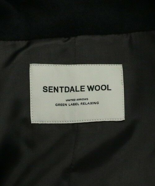 green label relaxing / グリーンレーベル リラクシング その他アウター | ［size SHORT/TALLあり］SENTDALE WOOL スタンドカラー ミドル コート | 詳細15