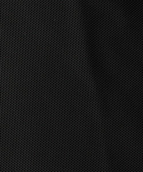 green label relaxing / グリーンレーベル リラクシング トートバッグ | ＜THE NORTH FACE＞ピレネートート トートバッグ | 詳細10