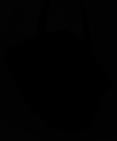 green label relaxing / グリーンレーベル リラクシング トートバッグ | ＜THE NORTH FACE＞ピレネートート トートバッグ | 詳細14