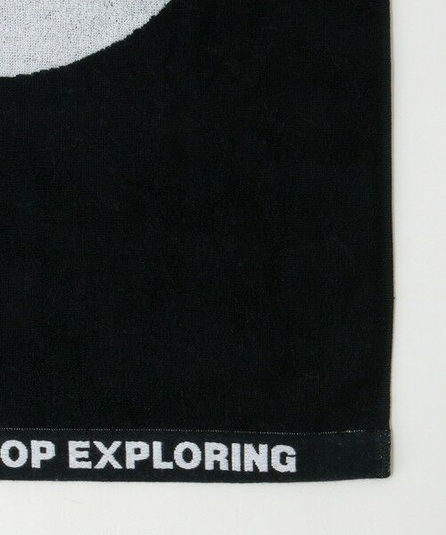 green label relaxing / グリーンレーベル リラクシング タオル | ＜THE NORTH FACE＞コットン タオル M フェイスタオル | 詳細3