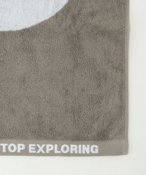 green label relaxing / グリーンレーベル リラクシング タオル | ＜THE NORTH FACE＞コットン タオル M フェイスタオル | 詳細7