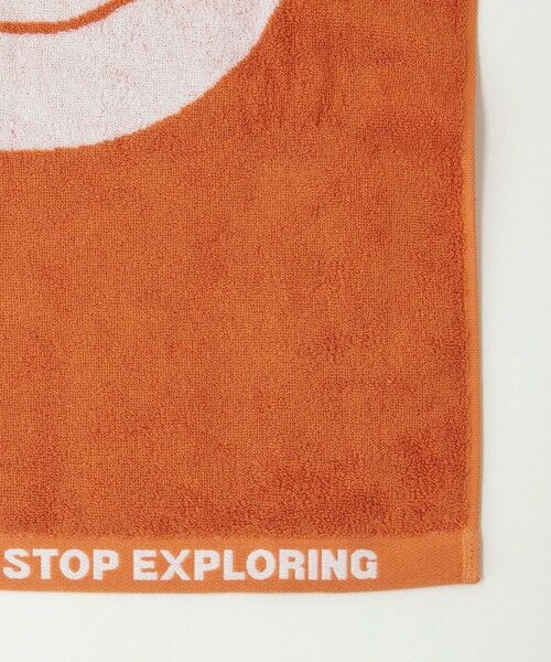 green label relaxing / グリーンレーベル リラクシング タオル | ＜THE NORTH FACE＞コットン タオル M フェイスタオル | 詳細13