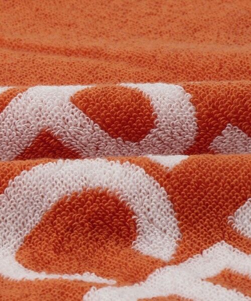 green label relaxing / グリーンレーベル リラクシング タオル | ＜THE NORTH FACE＞コットン タオル M フェイスタオル | 詳細14