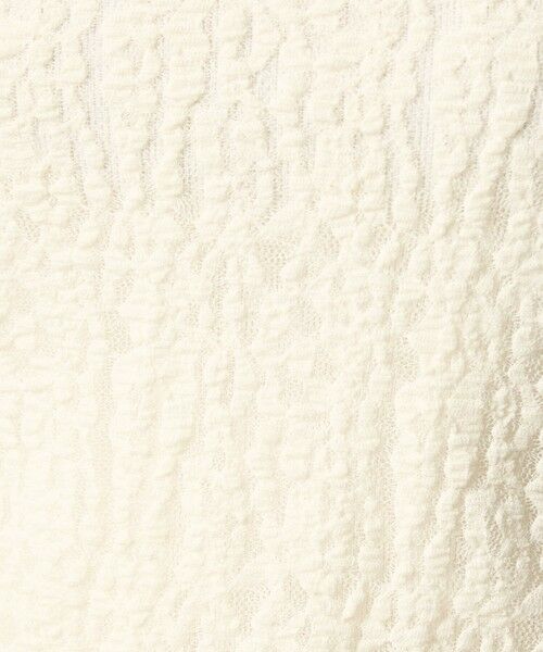 green label relaxing / グリーンレーベル リラクシング カットソー | 【WEB限定】＜at ease＞レース プルオーバー カットソー | 詳細25