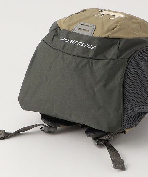 THE NORTH FACE SLICE リュック　８Ｌ THE NORTH FACE ノースフェイス リュックサック キッズ K