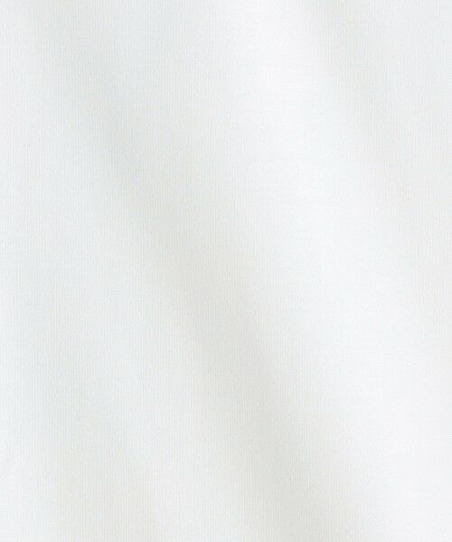 green label relaxing / グリーンレーベル リラクシング カットソー | ＜THE NORTH FACE＞ロングスリーブ スモール ボックス ロゴ Tシャツ | 詳細5