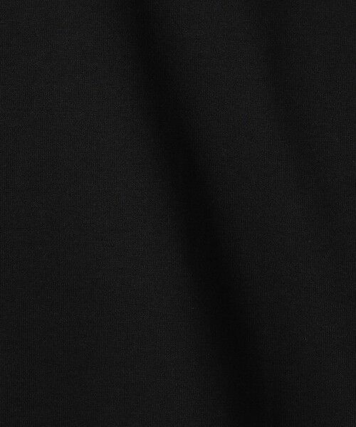 green label relaxing / グリーンレーベル リラクシング カットソー | ＜THE NORTH FACE＞ロングスリーブ スモール ボックス ロゴ Tシャツ | 詳細16