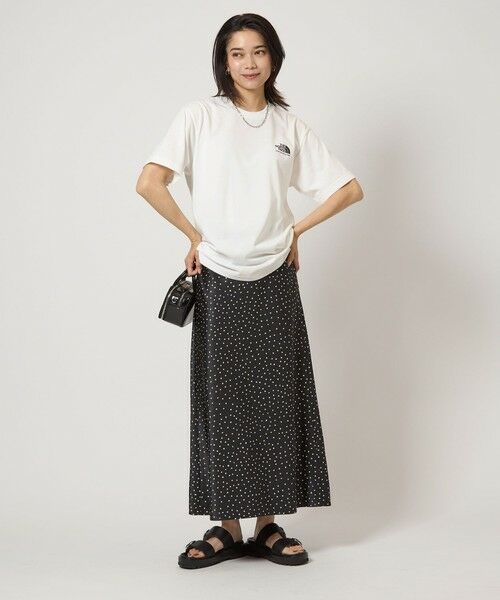 green label relaxing / グリーンレーベル リラクシング Tシャツ | ＜THE NORTH FACE＞ショートスリーブ ヒストリカル ロゴ Tシャツ | 詳細2