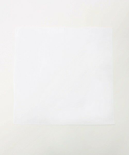green label relaxing / グリーンレーベル リラクシング ハンカチ | 麻 30cm×30cm ポケットチーフ | 詳細1