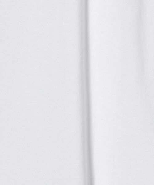 green label relaxing / グリーンレーベル リラクシング Tシャツ | <GOAT>ボックス Tシャツ | 詳細5