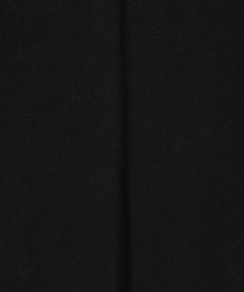 green label relaxing / グリーンレーベル リラクシング Tシャツ | <GOAT>ボックス Tシャツ | 詳細11