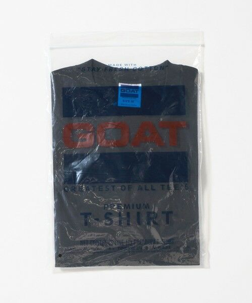 green label relaxing / グリーンレーベル リラクシング Tシャツ | <GOAT>ボックス Tシャツ | 詳細12