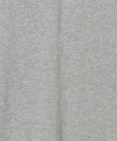 green label relaxing / グリーンレーベル リラクシング Tシャツ | <GOAT>ボックス Tシャツ | 詳細20