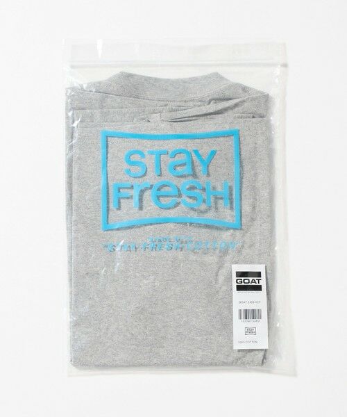 green label relaxing / グリーンレーベル リラクシング Tシャツ | <GOAT>ボックス Tシャツ | 詳細22