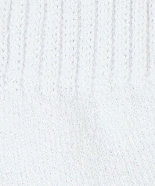 green label relaxing / グリーンレーベル リラクシング ソックス | GLR パイル リブ ソックス | 詳細1