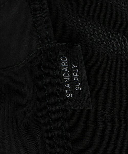 green label relaxing / グリーンレーベル リラクシング リュック・バックパック | 【別注】＜STANDARD SUPPLY＞GLR デイパック リュック | 詳細13