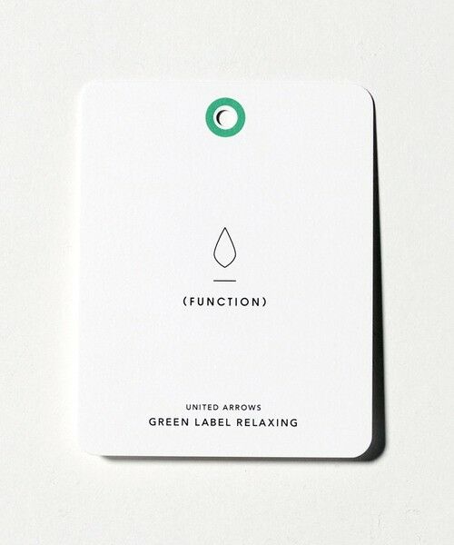 green label relaxing / グリーンレーベル リラクシング シャツ・ブラウス | コットン ピンストライプ タブカラー ドレスシャツ -イージーアイロン- | 詳細24