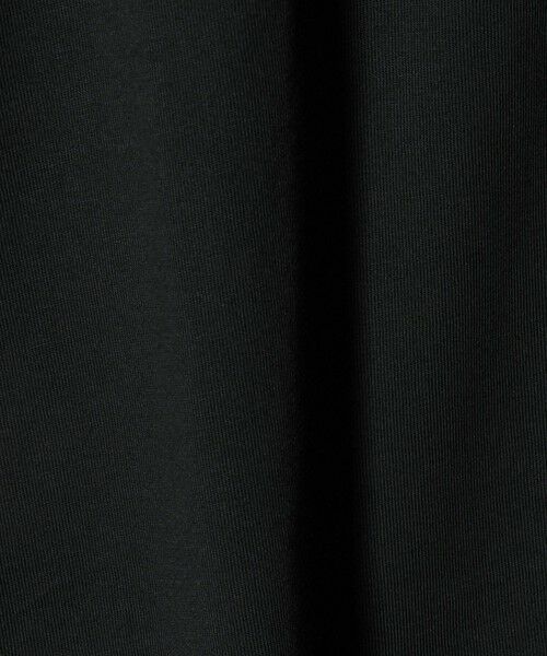 green label relaxing / グリーンレーベル リラクシング Tシャツ | ＜THE NORTH FACE＞ヌプシ ロングスリーブ 長袖 Tシャツ | 詳細20