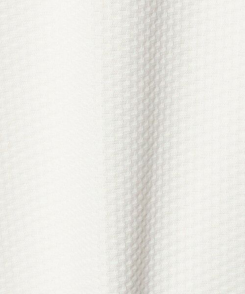 green label relaxing / グリーンレーベル リラクシング Tシャツ | クリア リンクス クルーネック Tシャツ | 詳細3