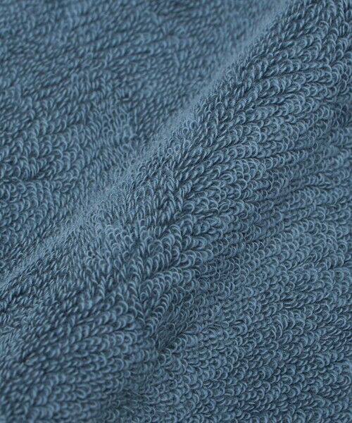 green label relaxing / グリーンレーベル リラクシング タオル | ＜THE NORTH FACE＞コットン タオル M フェイスタオル | 詳細6